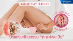 โปรแกรมศัลยกรรมตกแต่งเลเบีย